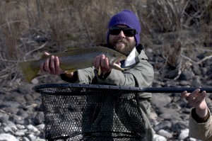 Spencer W. Yellowstone Brown Trout